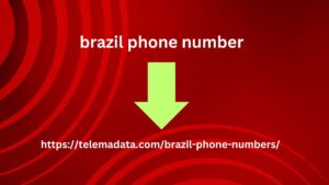 brazil phone number